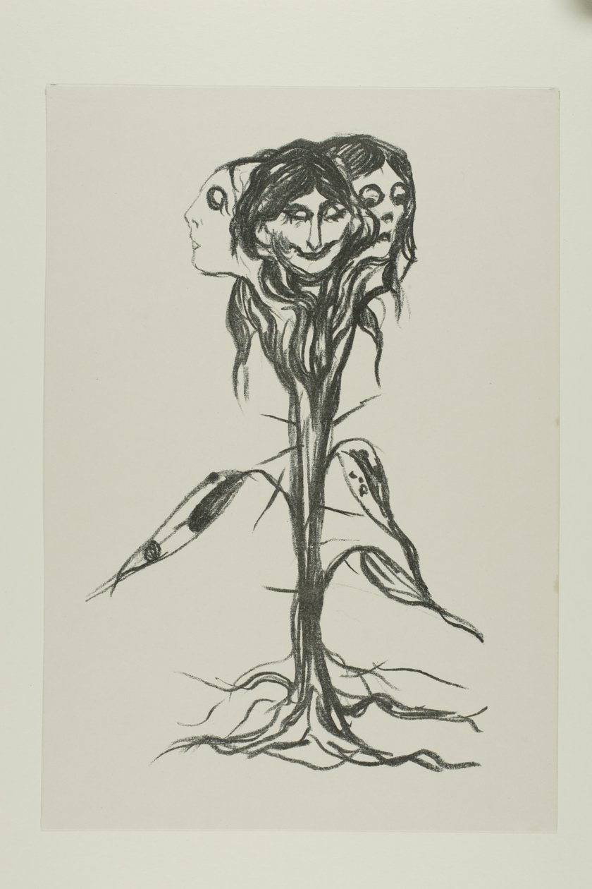 Viněta: Amaryllis od Edvard Munch