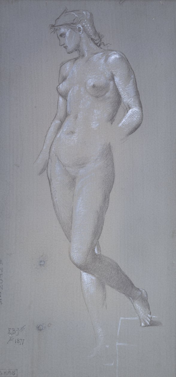 Antonia, 1877 (Silverpoint a tělová barva na šedé upravené půdě) od Edward Burne Jones