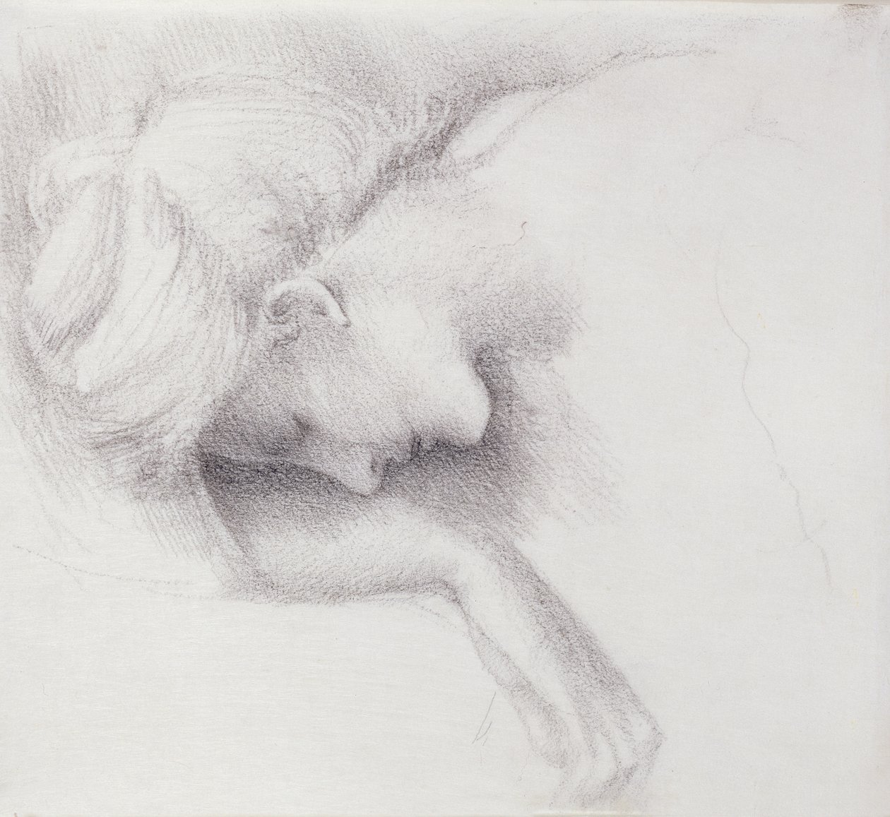 The Garden Court - studie k sérii Briar Rose, 1888 (černá křída na papíře) od Edward Burne Jones