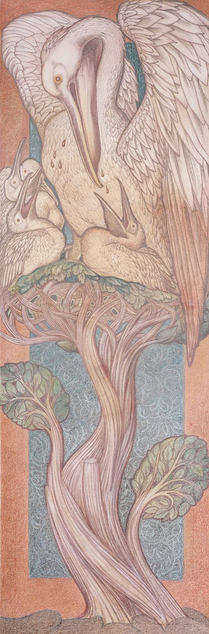 Pelikán, karikatura pro barevné sklo pro William Morris Company, 1880 (barevná křída na papíře) od Edward Burne Jones