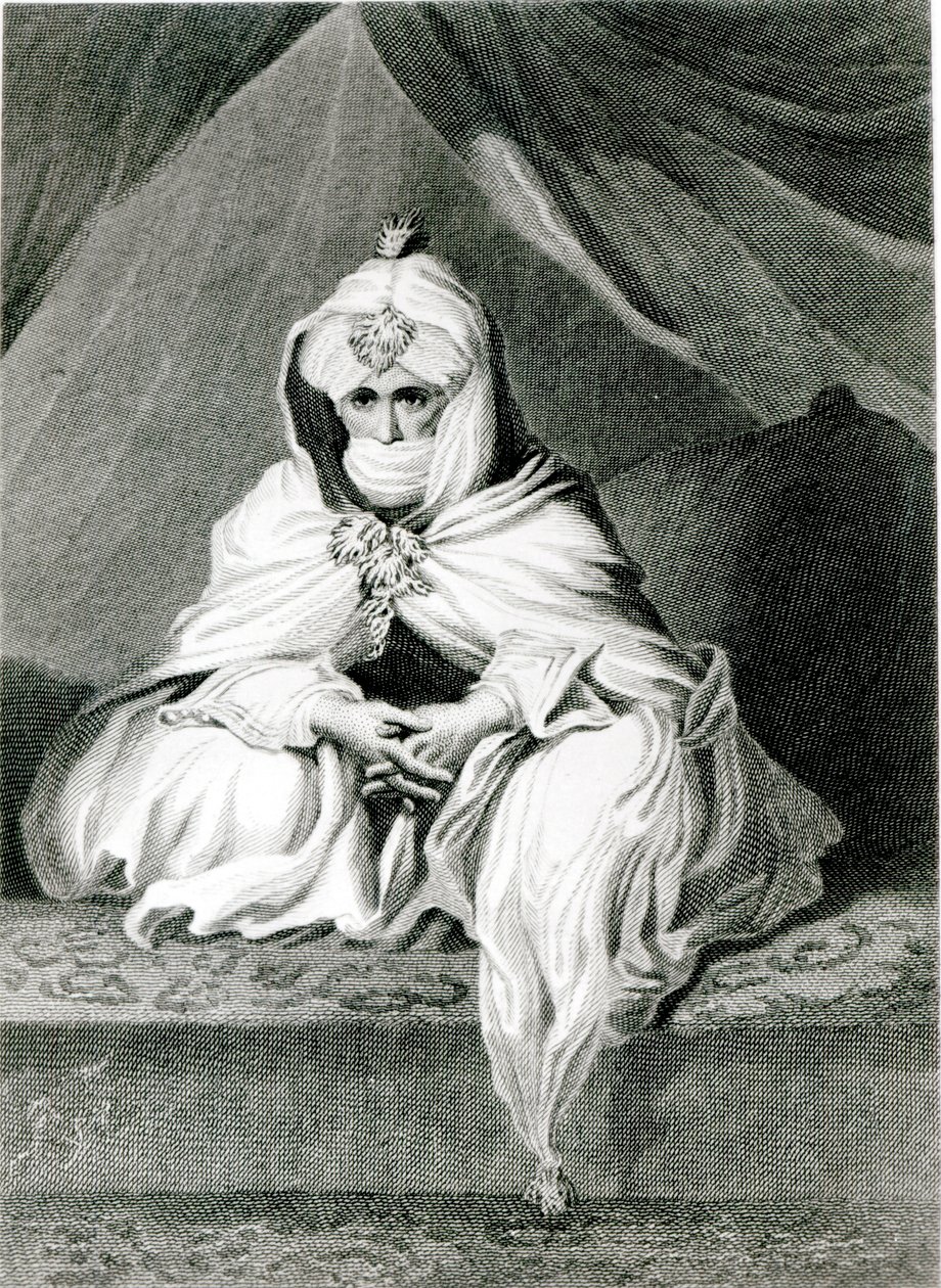 Alameen Ben Mohammed (El Kanemy), z „Příběhu o cestách a objevech v severní a střední Africe“, 1826 od Edward Francis Finden