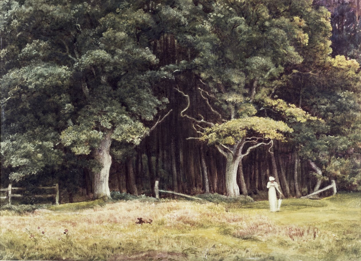 Zalesněná krajina, kolem roku 1900 od Edward John Poynter