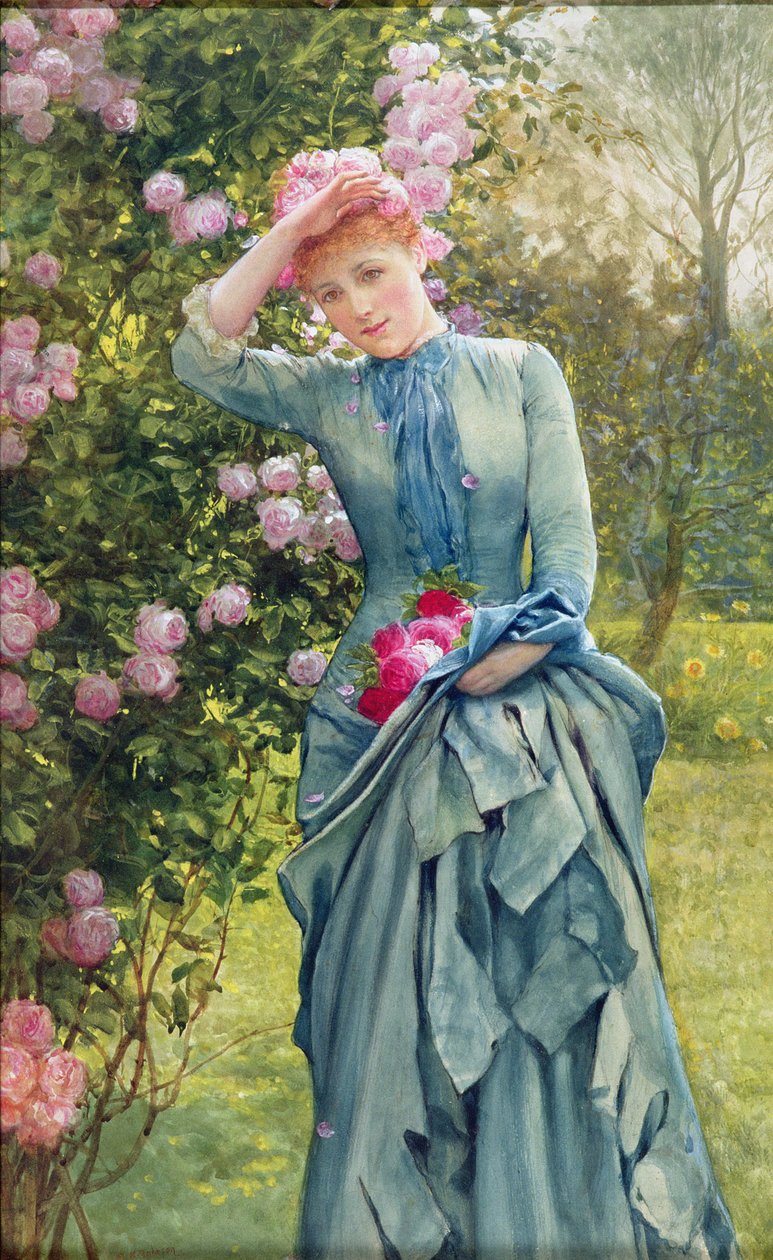 Sbírání růží, asi 1880 (akvarel na papíře) od Edward Killingworth Johnson