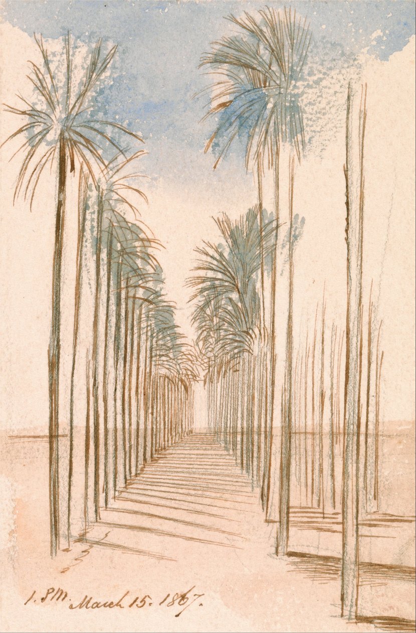 Třída stromů od Edward Lear