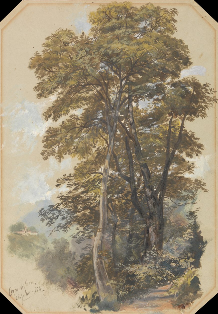 Corp of Cava, 28. června 1838 od Edward Lear