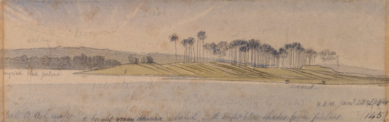 Ostrov Dhaura od Edward Lear