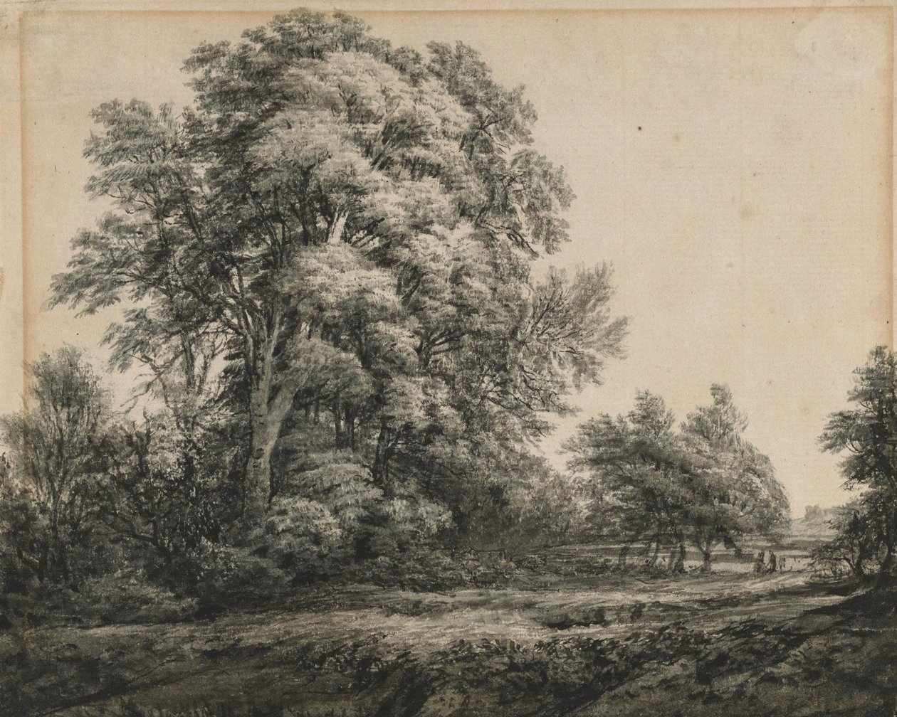 Lesní krajina od Edward Lear
