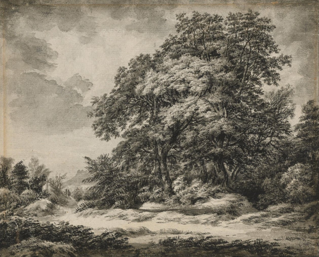 Lesní krajina od Edward Lear