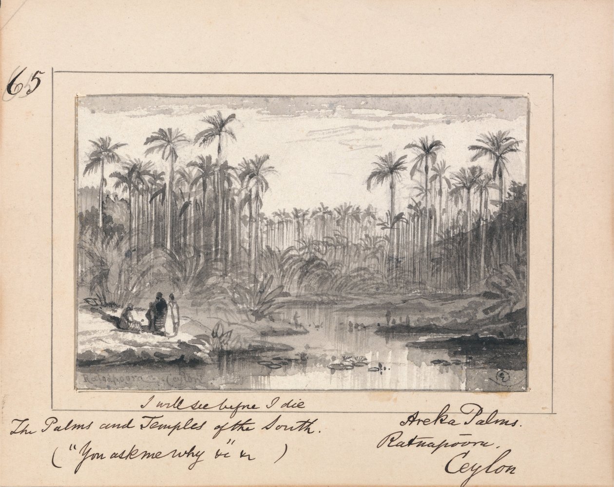 Ilustrace k Tennysonově Ask You Me Why- Areca Palms, Ratnapura, Ceylon od Edward Lear