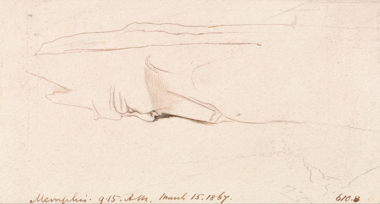 Memphis od Edward Lear
