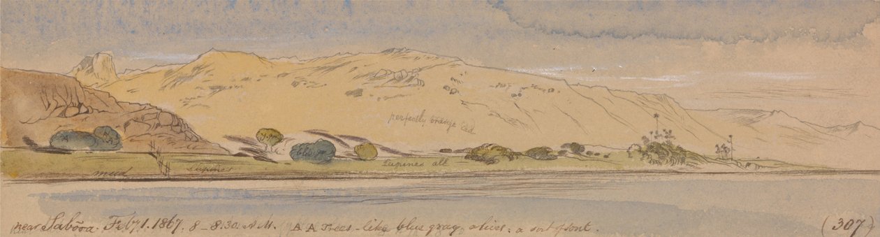 Poblíž Sabooa od Edward Lear
