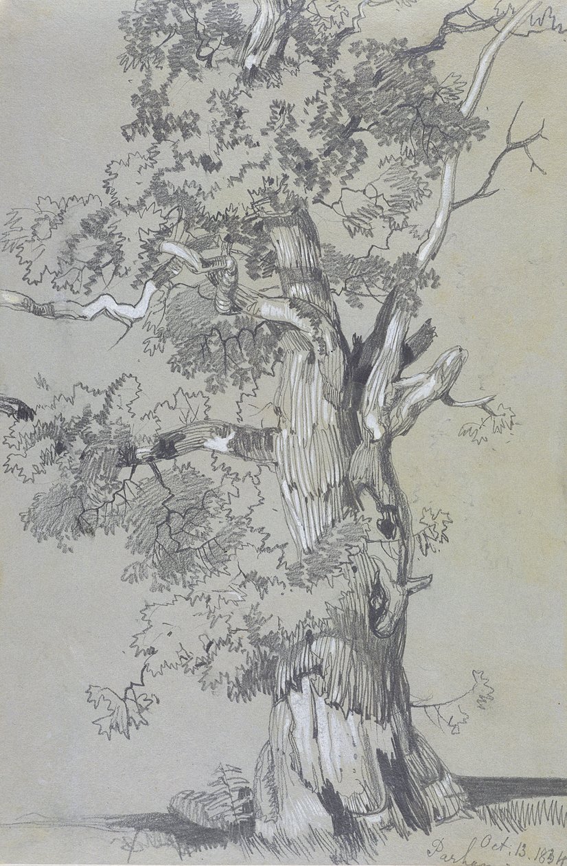 Parham, 13. října 1834 (grafit s bílým kvašem na hnědém tkaném papíře) od Edward Lear