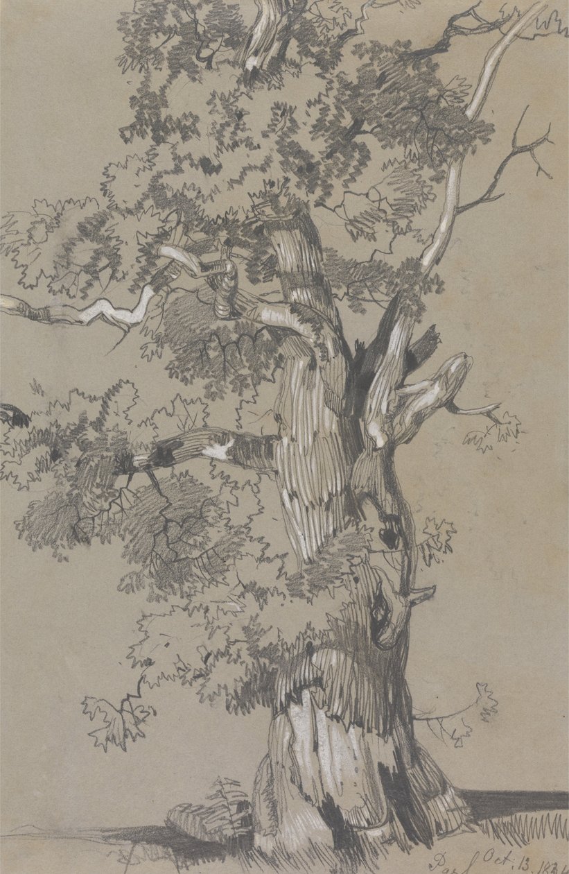 Parham, říjen. 13.1834 od Edward Lear