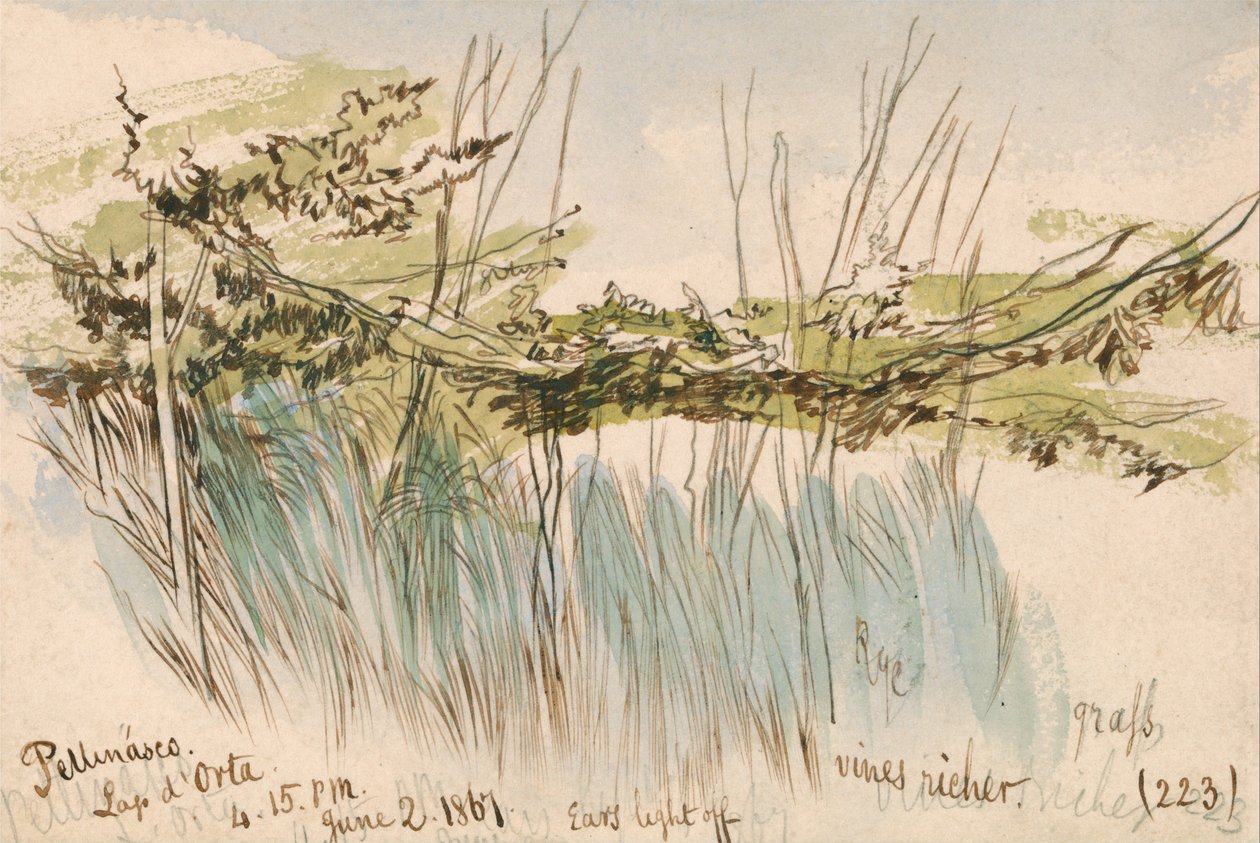 Pettenasco, Lago dOrta od Edward Lear