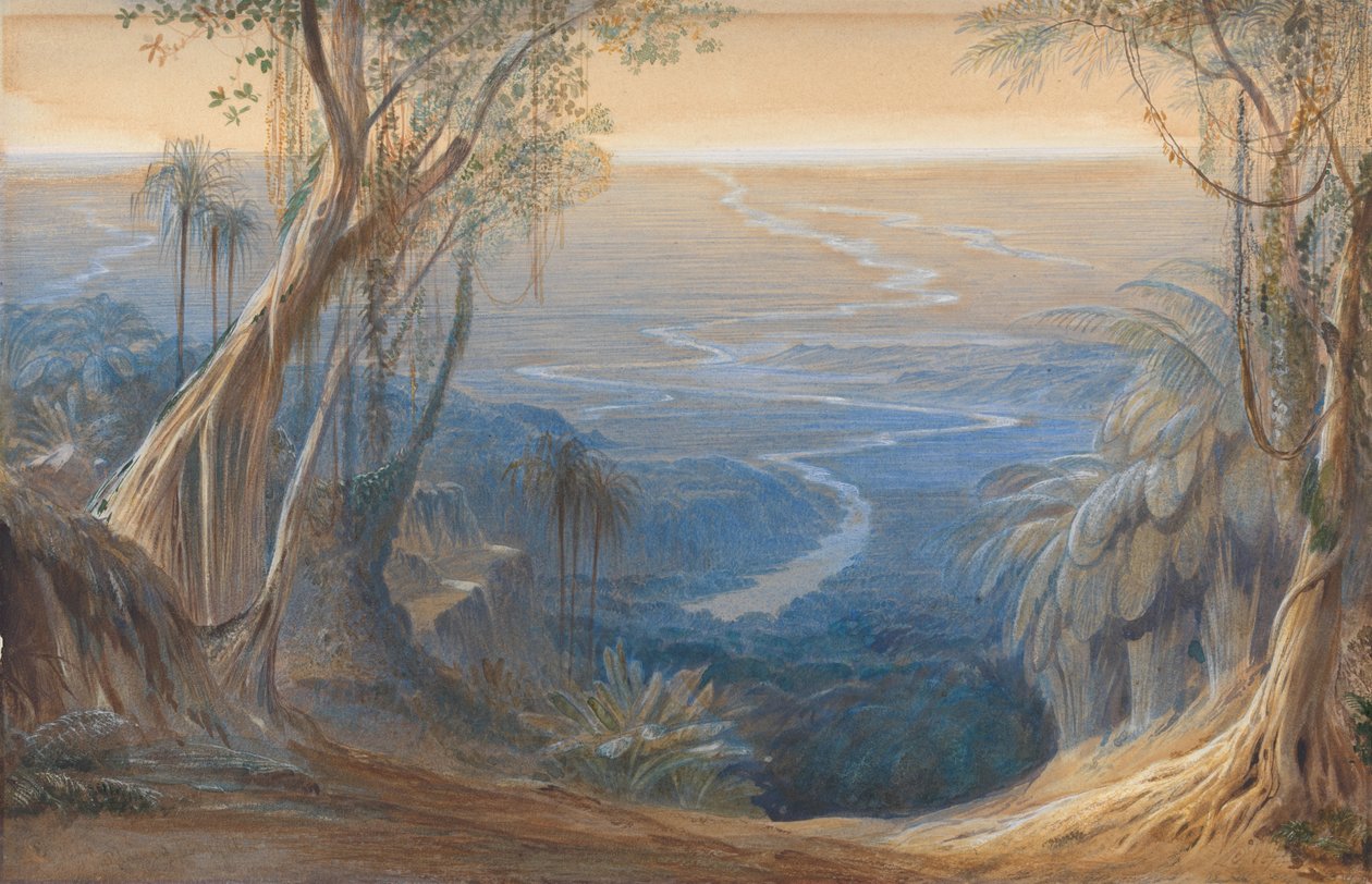 Pláně Bengálska, shora Siligoree od Edward Lear