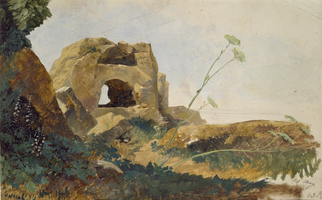 Studie skal a listí, Agrigento (Girgenti), Sicílie, 1847 (olej na lesklém, bělavém papíře) od Edward Lear