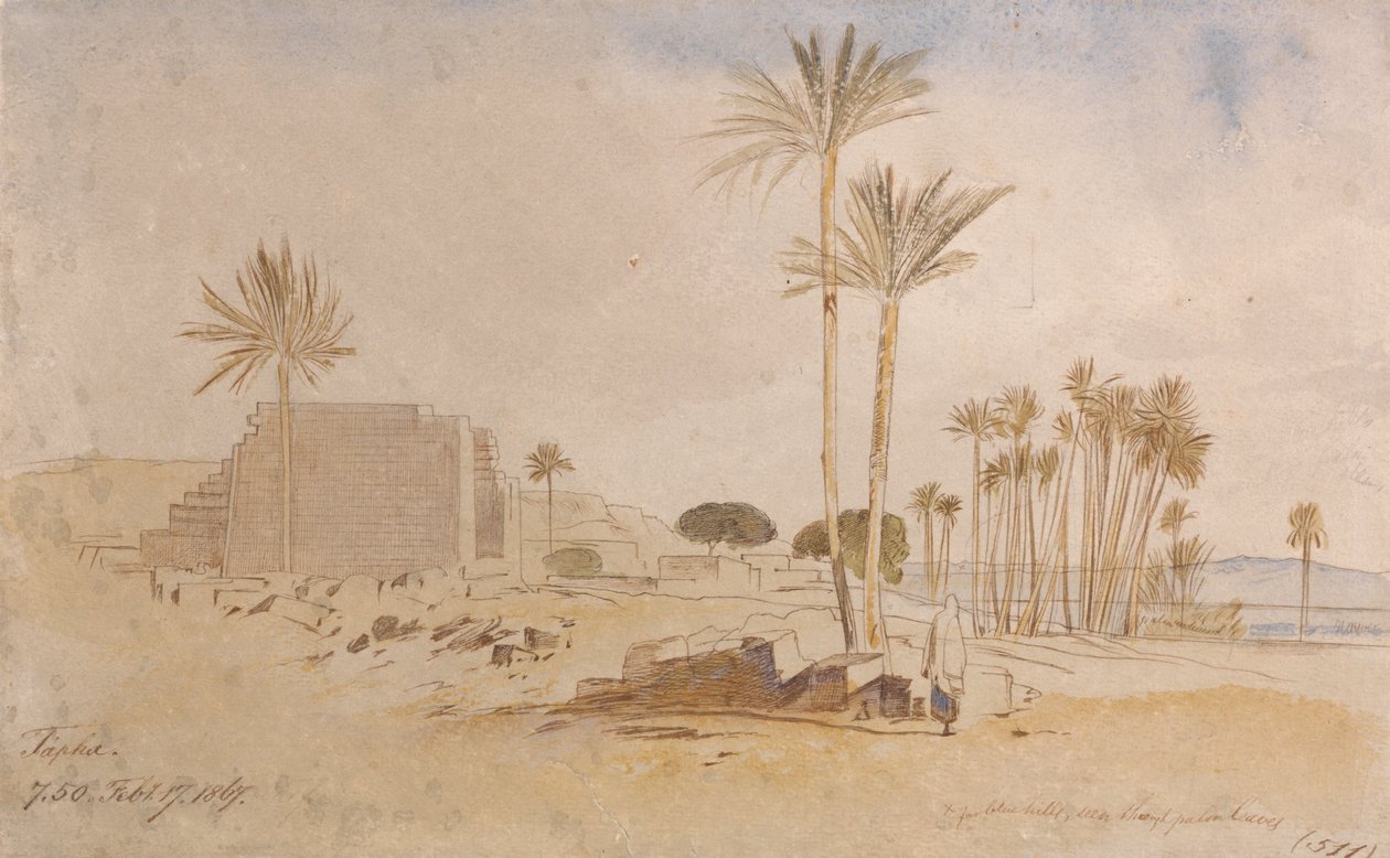 Tapha, 7-50 hod., 17. února 1867 od Edward Lear