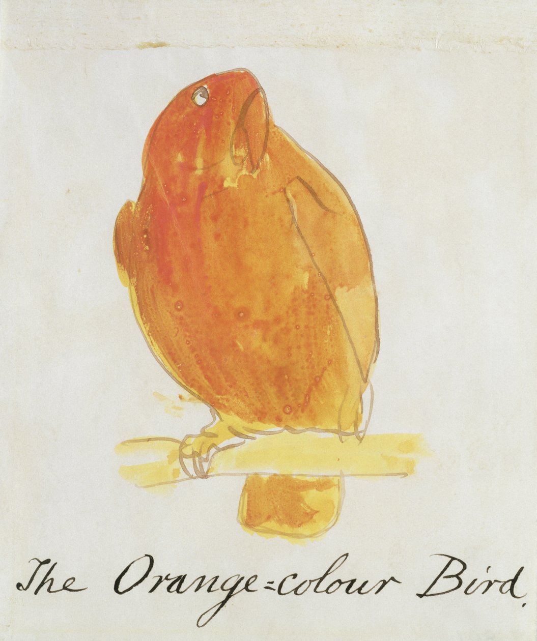 Pták oranžové barvy, z „Šestnáct kreseb komiksových ptáků“ (pero a inkoust a wc na papíře) od Edward Lear