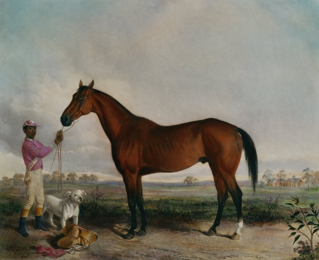 Tazatel, Bay Horse od Edward (after) Troye