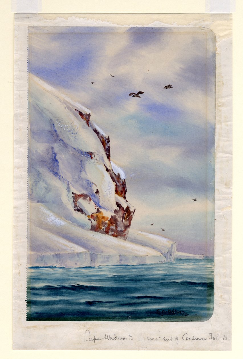 Cape Wadsworth, Coulman Island (wc na papíře) od Edward Adrian Wilson