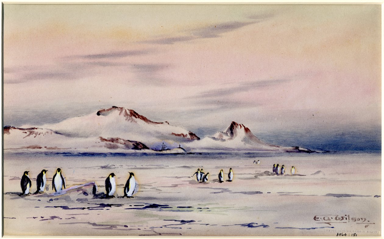 The Discovery Winter Quarters, c.1901-04 (wc na papíře) od Edward Adrian Wilson