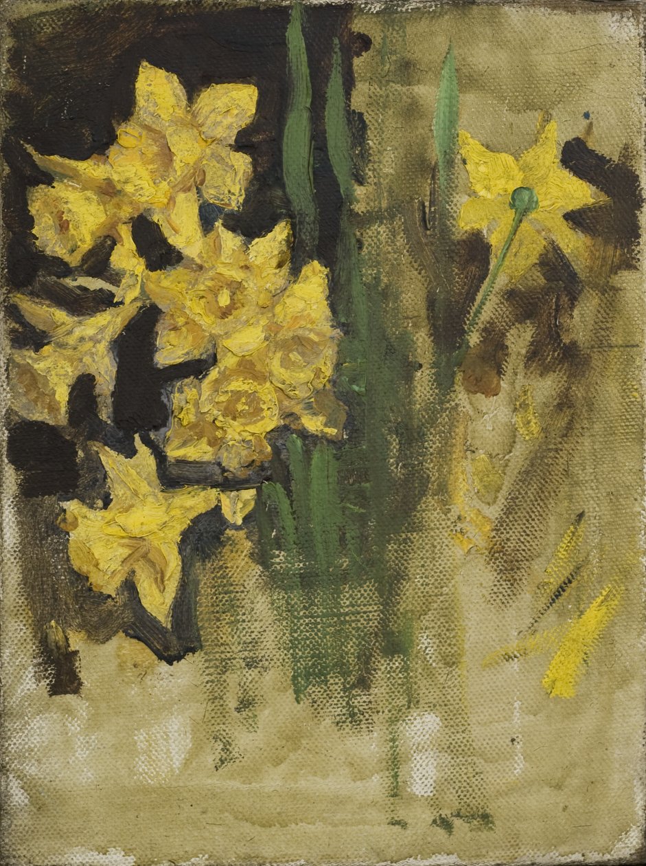 Narcisy (olej na plátně) od Edward Atkinson Hornel