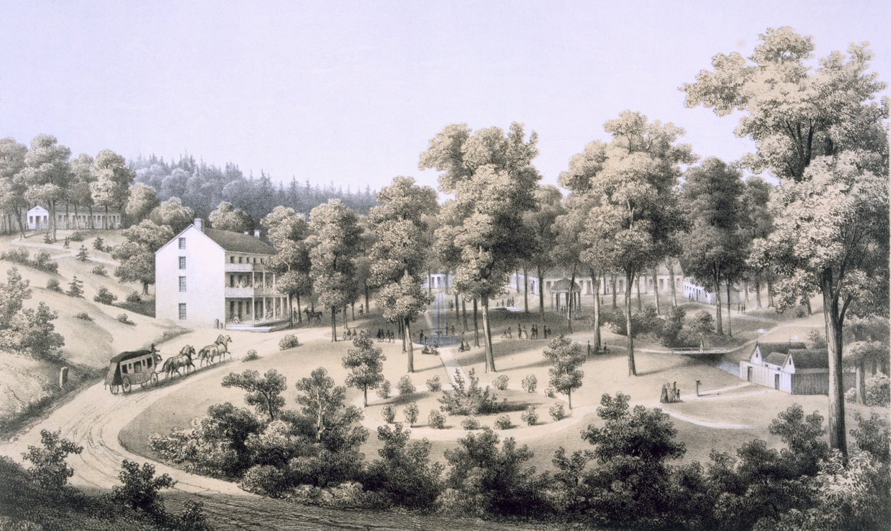 Stribling Springs, Spa Village, Augusta Country, 1858 od Edward Beyer