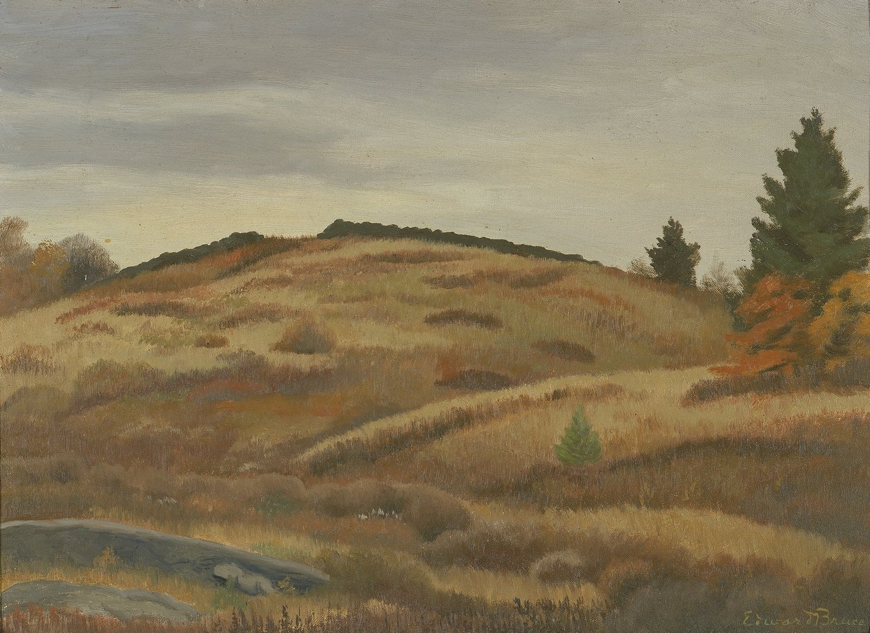 Podzimní pole, ca. 1926-1934. od Edward Bruce