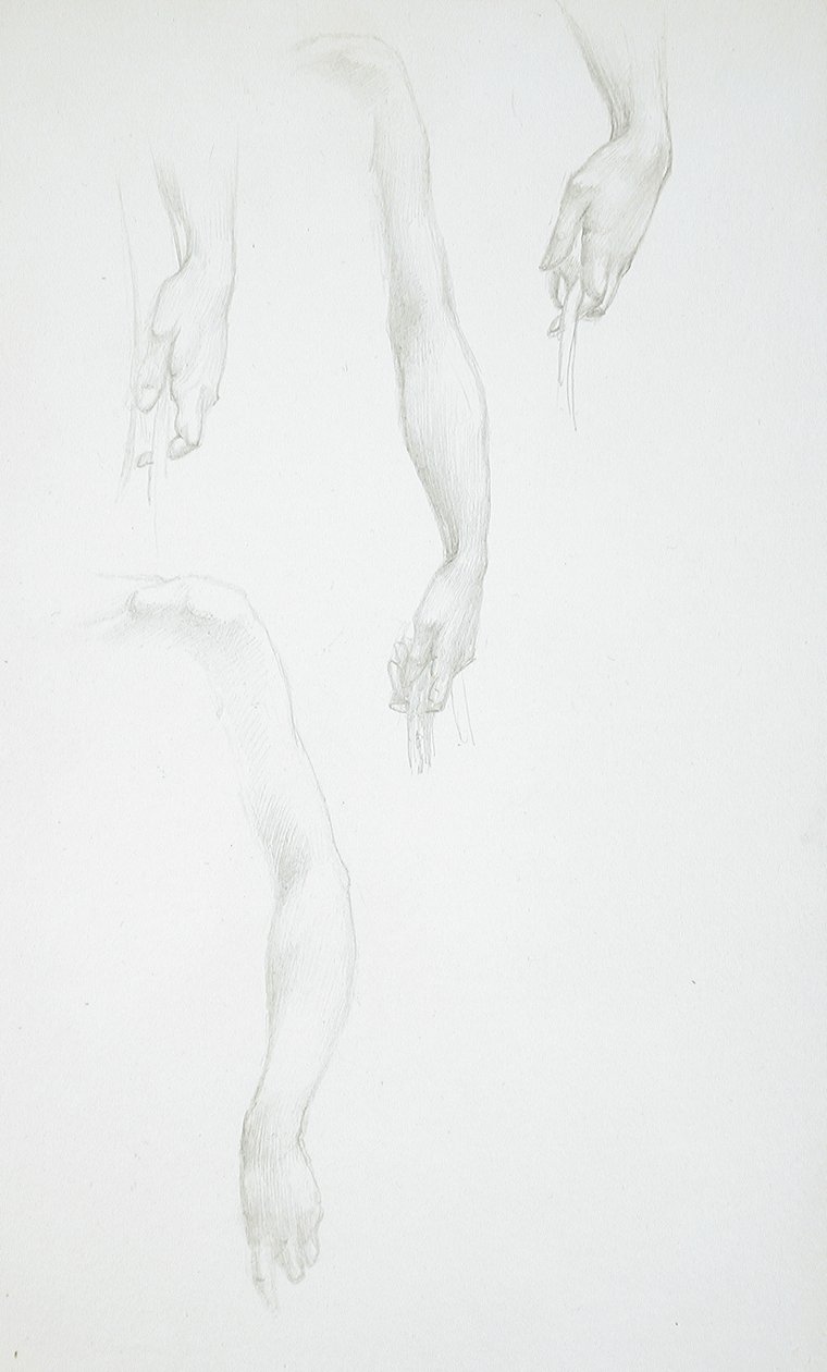 Studie paží a rukou (líc); Studie ženského trupu (rub) od Edward Burne-Jones
