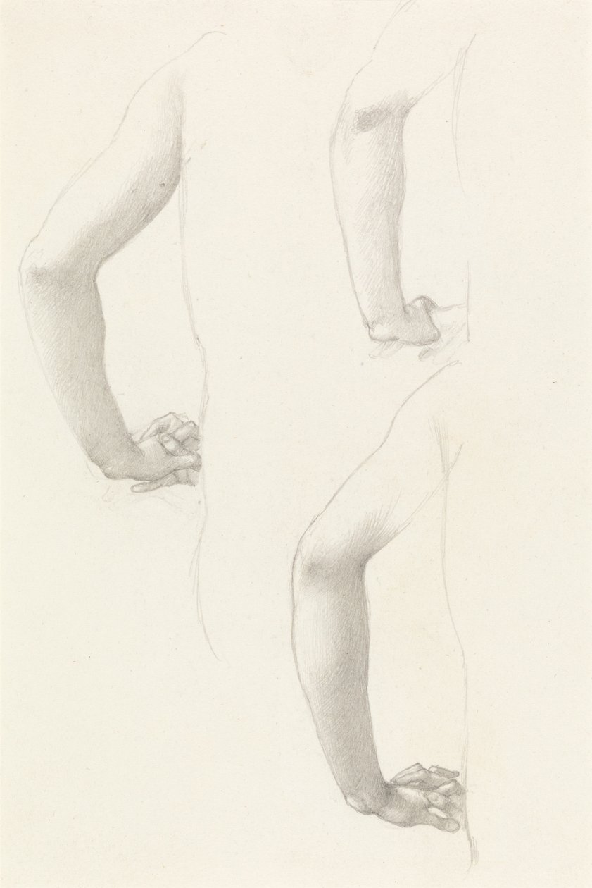 Studie paží a rukou od Edward Burne-Jones
