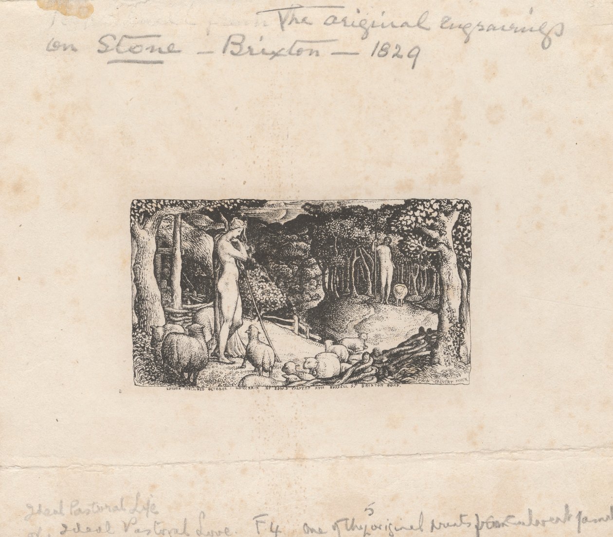 Ideální pastorační život od Edward Calvert