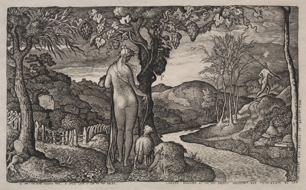 Nevěsta od Edward Calvert