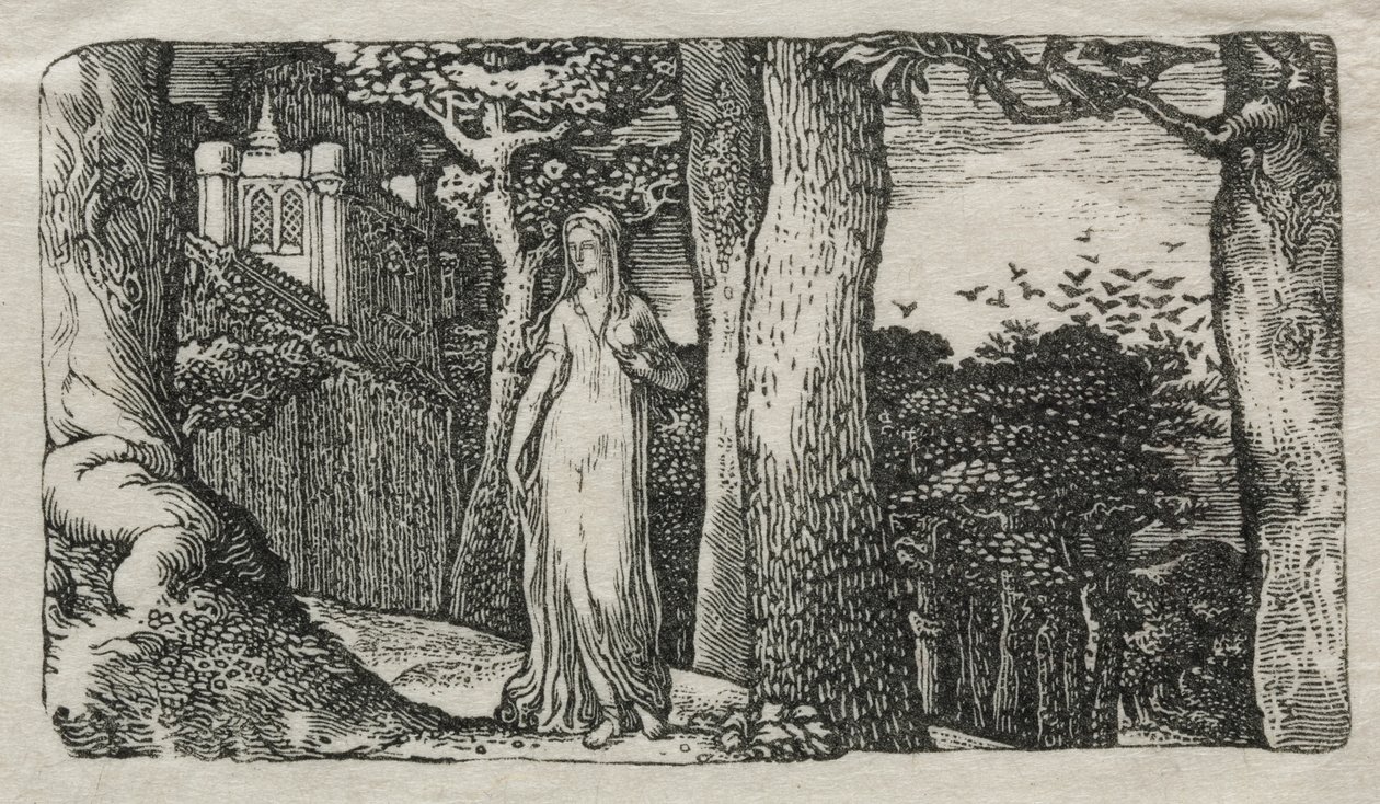 Dáma a věže od Edward Calvert