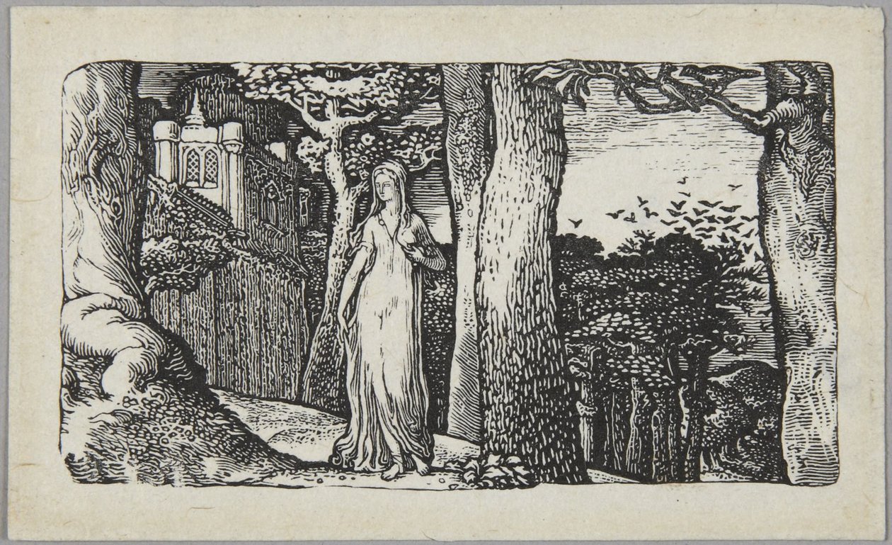 Dáma s havrany od Edward Calvert