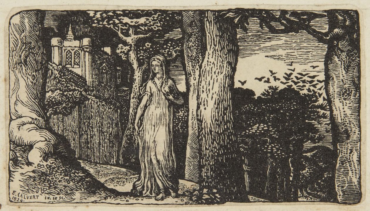 Dáma s havrany polními od Edward Calvert