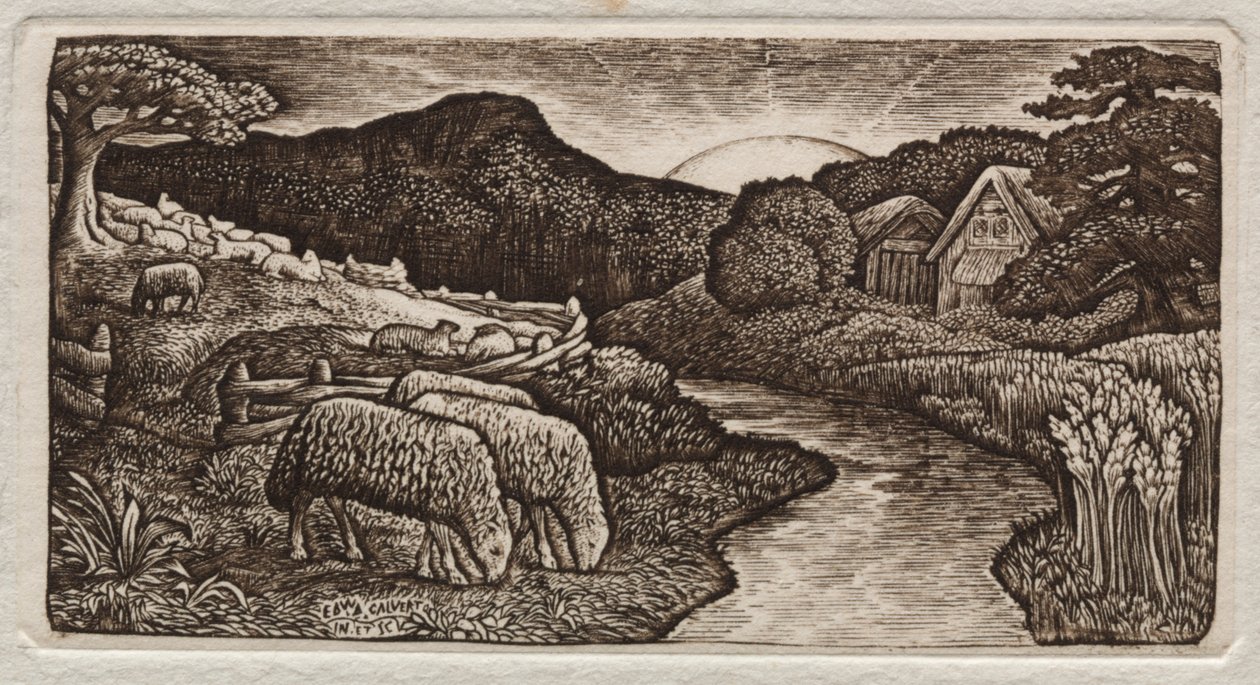 Ovce jeho pastviny od Edward Calvert