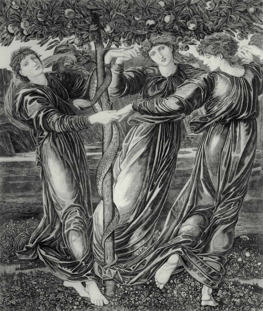 Zahrada Hesperidek od Edward Coley (after) Burne Jones