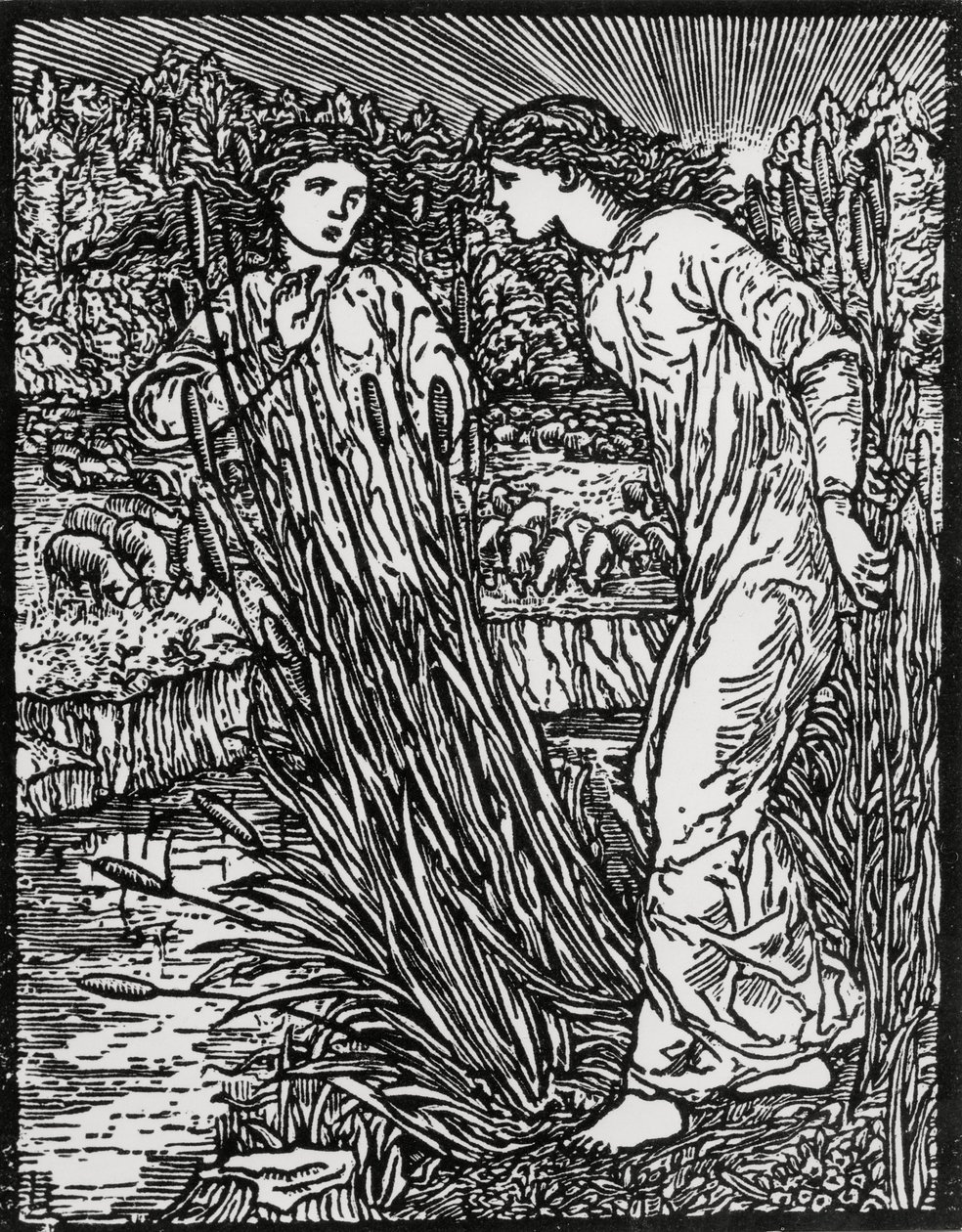Úkol zlaté vlny ovce od Edward Coley (after) Burne Jones