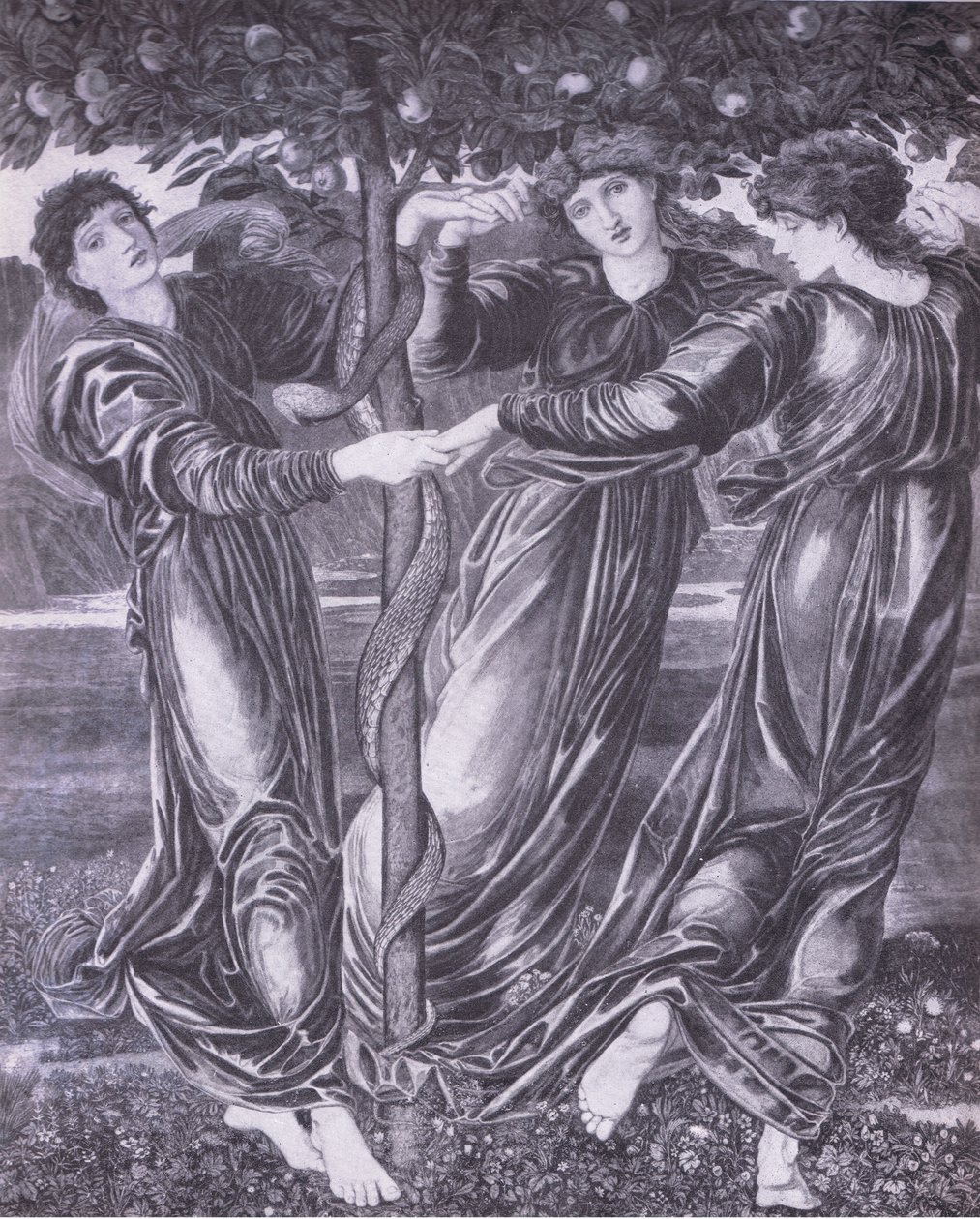 Zahrada Hesperidek, Bibbyina výroční od Edward Coley (after) Burne Jones