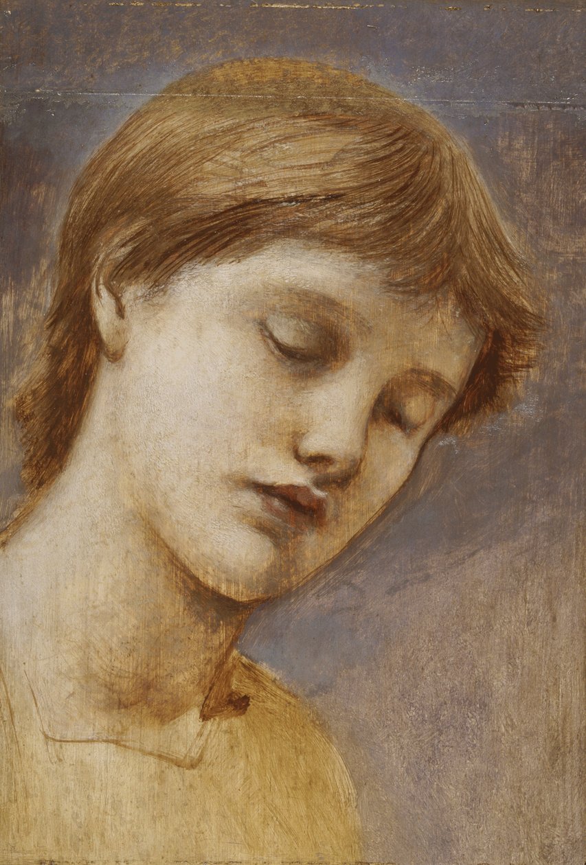 Studie hlavy (olej na desce) od Edward Coley Burne Jones