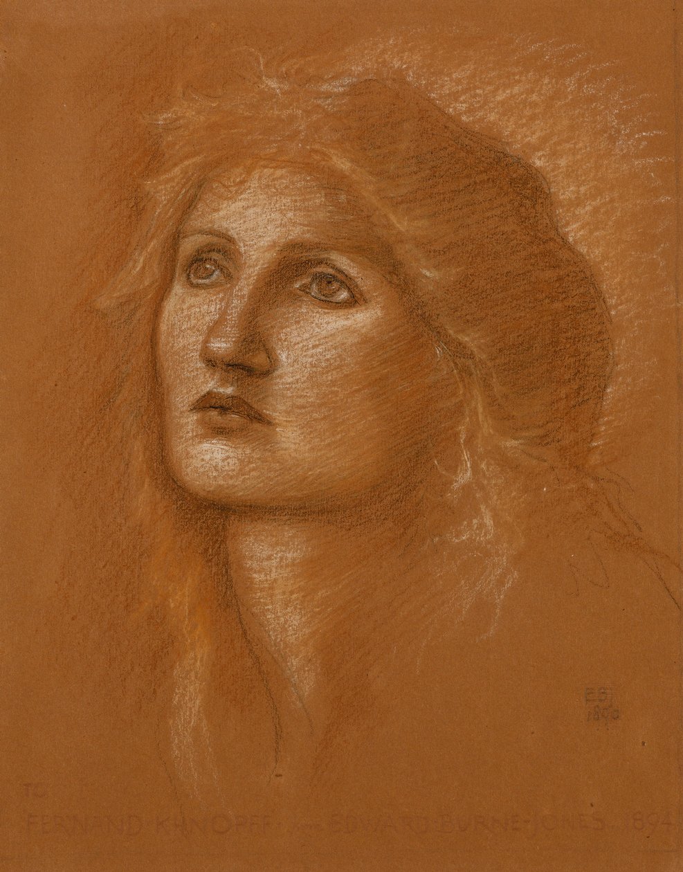 Hlava ženy, 1890 od Edward Burne Jones