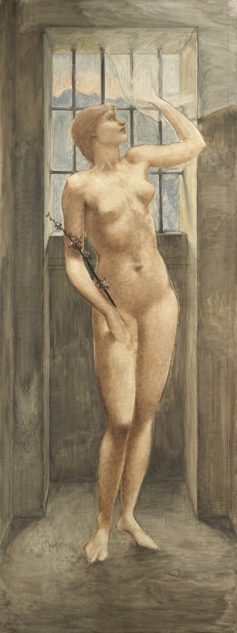 Spes aneb Naděje ve vězení od Edward Burne Jones