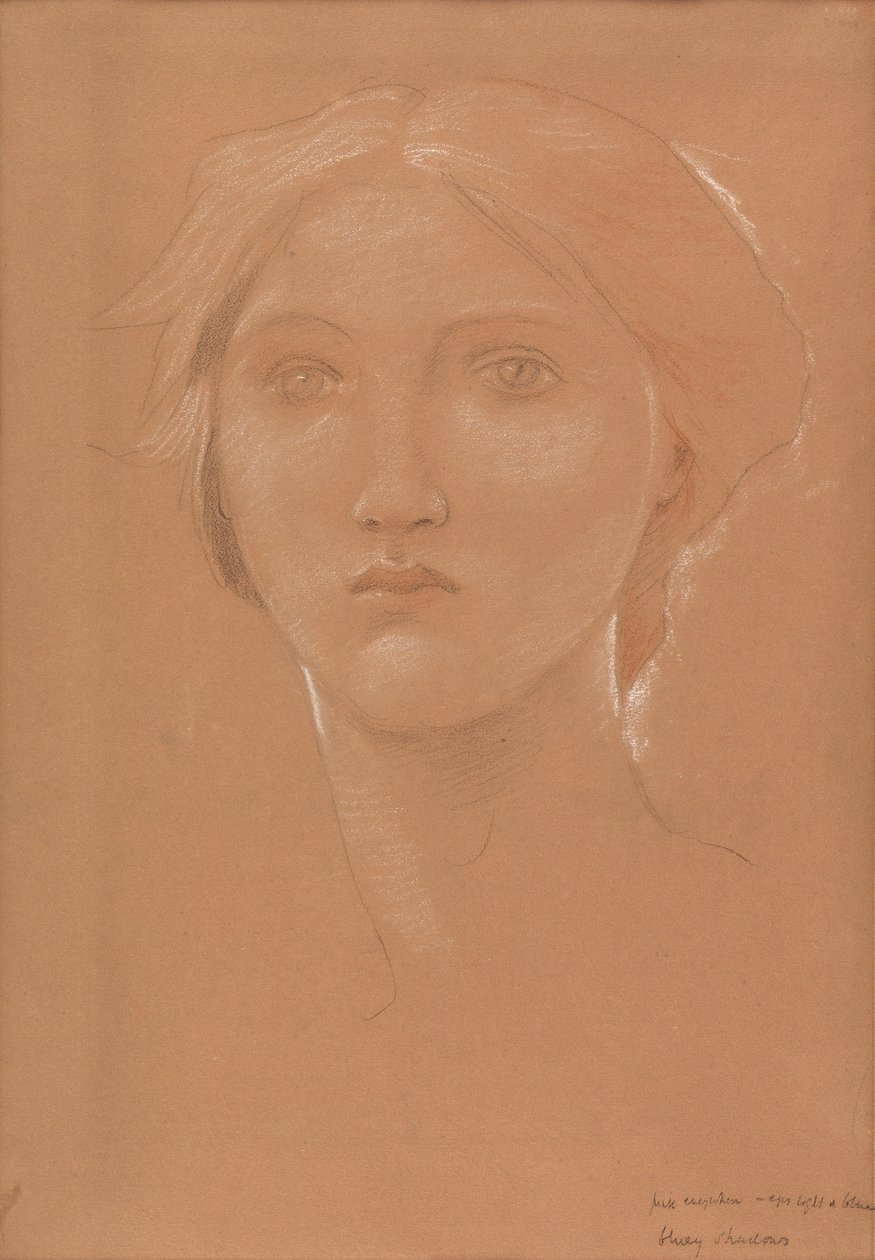 Studie hlavy Margaret Burne-Jonesové pro „Král Cophetua a žebrácká panna“ (křída na papíře) od Edward Coley Burne Jones