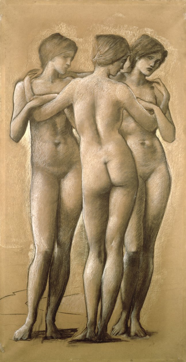 Venus Concordia - Studie o třech gracích, 1895 od Edward Burne Jones