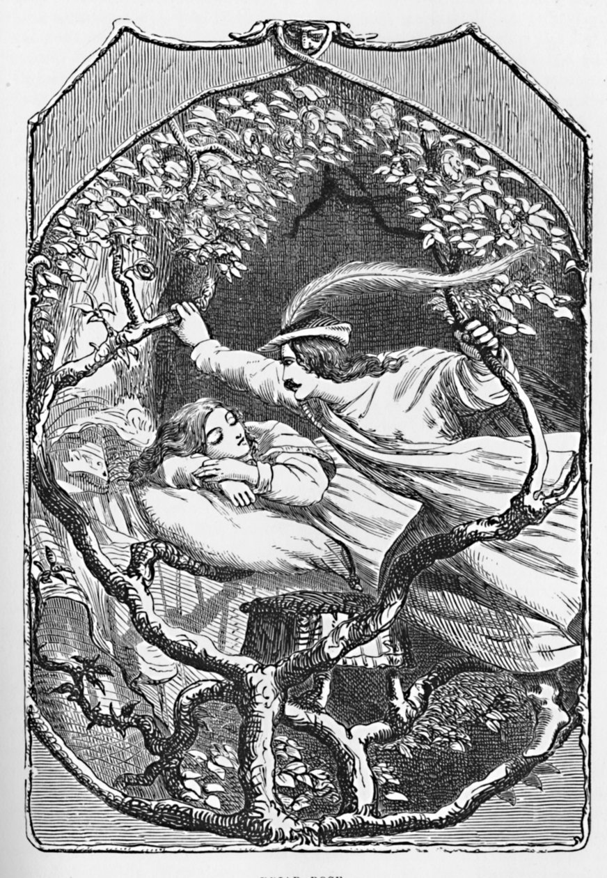 Briar Rose, 1901 od Edward Henry Wehnert