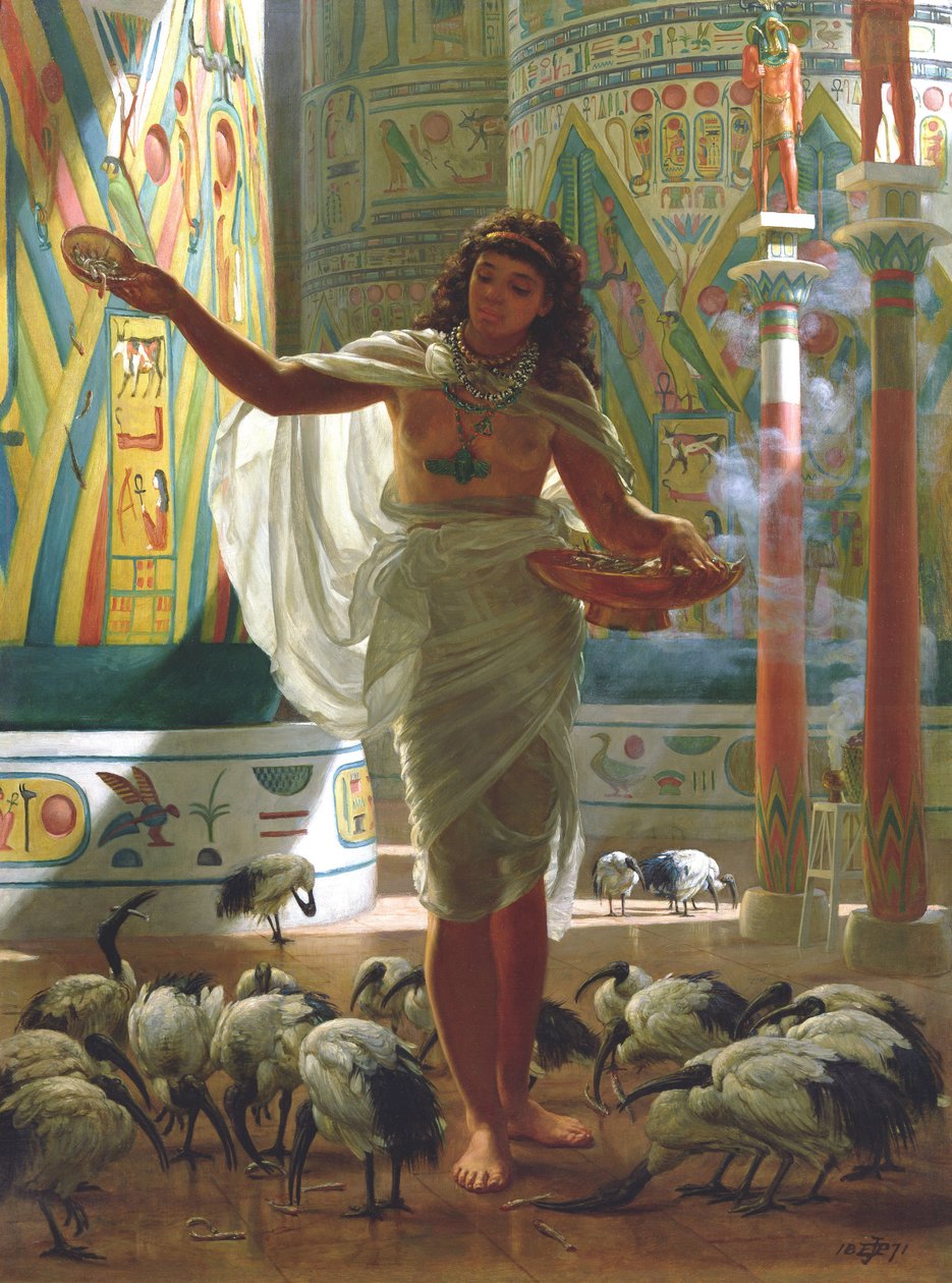 Krmení posvátných ibisů v sálech Karnacu (olej na plátně) od Edward John Poynter