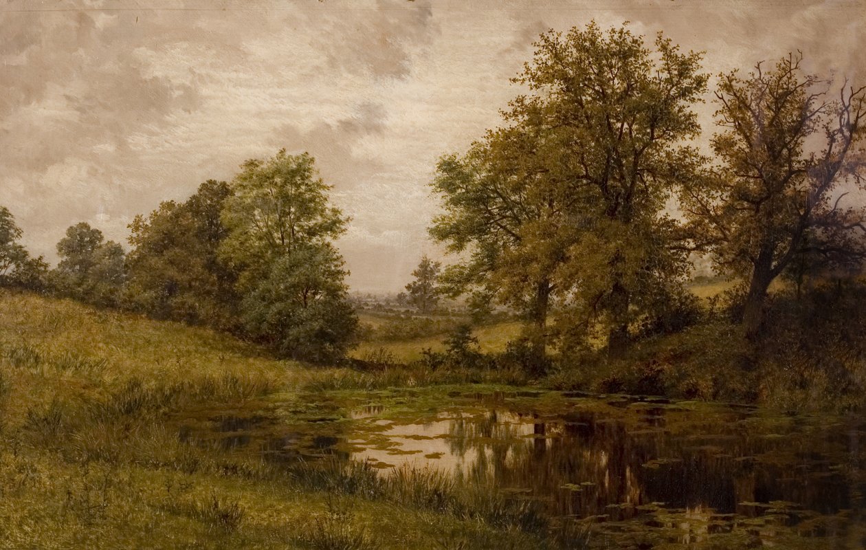 Rybník poblíž Whittems Farm, poblíž Coundon, konec 19.-začátek 20. století od Edward Junior Rudge