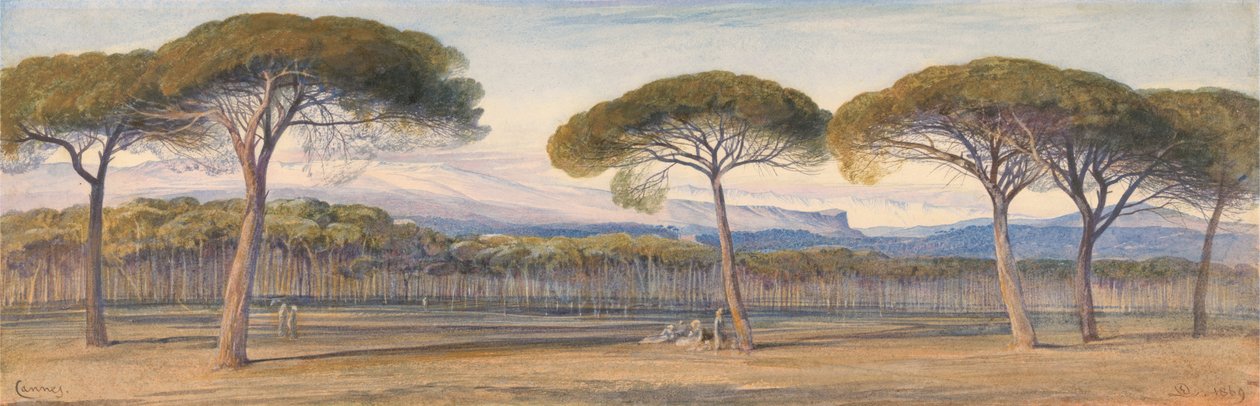 Pohled na borový les nad Cannes od Edward Lear