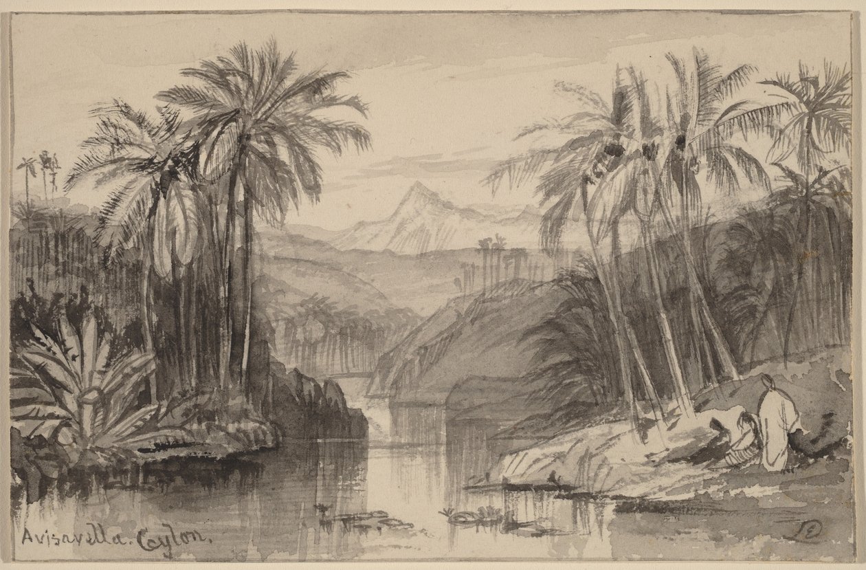 Avisavella, Cejlon od Edward Lear