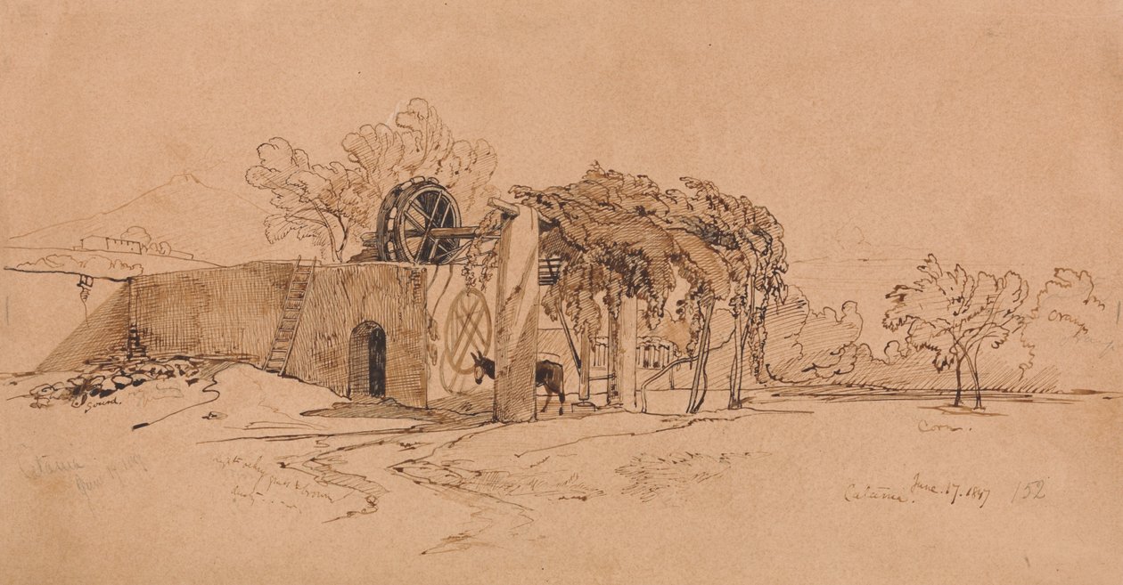 Katánie od Edward Lear